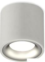Припотолочная люстра Ambrella light Techno spot XS7533023 SGR/MCH