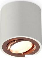 Точечный светильник Ambrella light Techno spot XS7533005 SGR/PPG