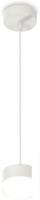 Подвесная люстра Ambrella light Techno spot XP8110025 SWH/FR/CL