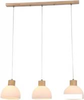 Подвесная люстра Arte Lamp Caprice A4184SP-3BR