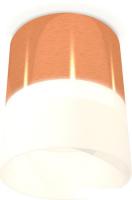 Припотолочная люстра Ambrella light Techno spot XS8122011 PPG/FR