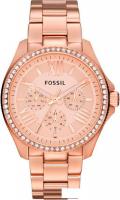 Наручные часы Fossil AM4483