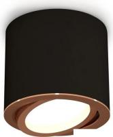 Точечный светильник Ambrella light Techno spot XS7402004 SBK/PPG