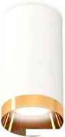 Точечный светильник Ambrella light Techno spot XS6322024 SWH/PYG