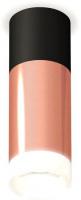 Точечный светильник Ambrella light Techno spot XS6326042 PPG/SBK/FR