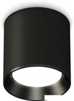 Припотолочная люстра Ambrella light Techno XS6302002 SBK/PBK