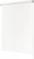 Рулонные шторы Legrand Мона 98x175 58127682 (белый)
