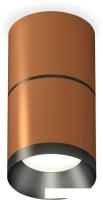 Припотолочная люстра Ambrella light Techno spot XS7404041 SCF/PBK