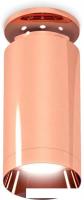 Точечный светильник Ambrella light Techno spot XS6326080 PPG