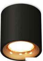 Припотолочная люстра Ambrella light Techno spot XS7532024 SBK/PYG