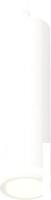 Подвесная люстра Ambrella light Techno spot XP6355001 SWH/FR