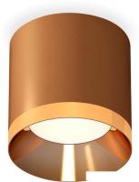 Припотолочная люстра Ambrella light Techno spot XS7404010 SCF/PYG