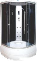 Душевая кабина Водный мир ВМ888 Е 100x100 (тонированное стекло)
