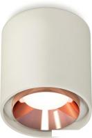 Припотолочная люстра Ambrella light Techno spot XS7724005 SGR/PPG