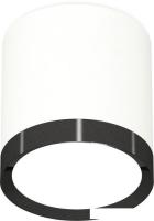 Припотолочная люстра Ambrella light Techno spot XS8141002 SWH/PBK