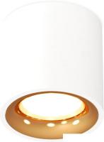 Припотолочная люстра Ambrella light Techno spot XS7531024 SWH/PYG