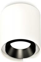 Припотолочная люстра Ambrella light Techno spot XS7722002 SWH/PBK