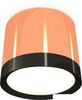 Припотолочная люстра Ambrella light Techno spot XS8122001 PPG/PBK