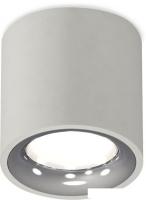 Припотолочная люстра Ambrella light Techno spot XS7533022 SGR/PSL