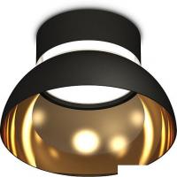 Припотолочная люстра Ambrella light Techno spot XS8102036 SBK/PYG/CL