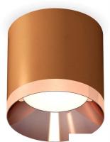 Припотолочная люстра Ambrella light Techno spot XS7404011 SCF/PPG