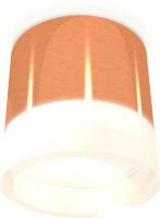 Припотолочная люстра Ambrella light Techno spot XS8122010 PPG/FR