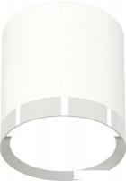 Припотолочная люстра Ambrella light Techno spot XS8141003 SWH/PSL