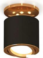 Точечный светильник Ambrella light Techno spot XS7402100 SBK/PYG