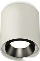 Припотолочная люстра Ambrella light Techno spot XS7724002 SGR/PBK