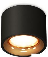 Припотолочная люстра Ambrella light Techno spot XS7511024 SBK/PYG
