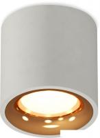 Припотолочная люстра Ambrella light Techno spot XS7533024 SGR/PYG