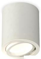 Припотолочная люстра Ambrella light Techno spot XS7423020 SGR/SWH