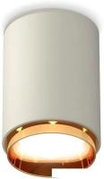 Точечный светильник Ambrella light Techno spot XS6314024 SGR/PYG