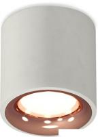 Припотолочная люстра Ambrella light Techno spot XS7533025 SGR/PPG