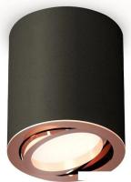 Точечный светильник Ambrella light Techno spot XS7422004 SBK/PPG