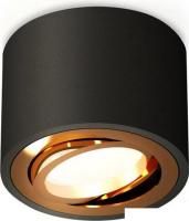 Точечный светильник Ambrella light Techno spot XS7511004 SBK/PYG