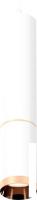 Подвесная люстра Ambrella light Techno spot XP6322030 SWH/PPG