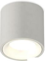 Припотолочная люстра Ambrella light Techno spot XS7533020 SGR/SWH