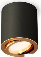 Точечный светильник Ambrella light Techno spot XS7422003 SBK/PYG