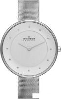 Наручные часы Skagen SKW2140