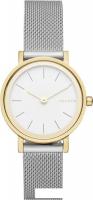 Наручные часы Skagen SKW2445