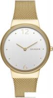 Наручные часы Skagen SKW2519