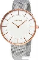 Наручные часы Skagen SKW2583