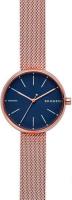 Наручные часы Skagen SKW2593