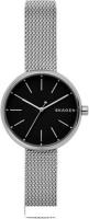 Наручные часы Skagen SKW2596