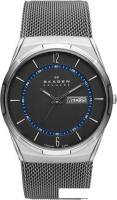 Наручные часы Skagen SKW6078