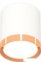 Припотолочная люстра Ambrella light Techno spot XS8141005 SWH/PPG