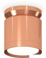 Припотолочная люстра Ambrella light Techno spot XS8122035 PPG