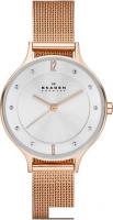 Наручные часы Skagen SKW2151