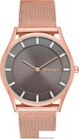 Наручные часы Skagen SKW2378